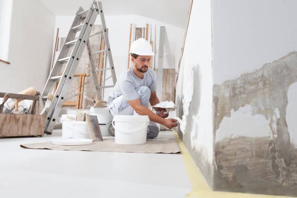 Best Residential Painting  in Amelia, OH