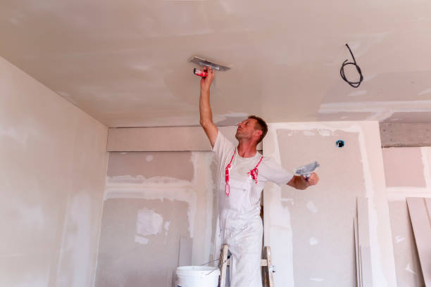 Best Commercial Painting  in Amelia, OH